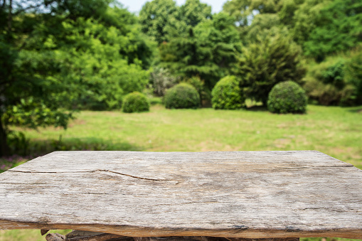 Old wooden table and green woodland blurred abstract background