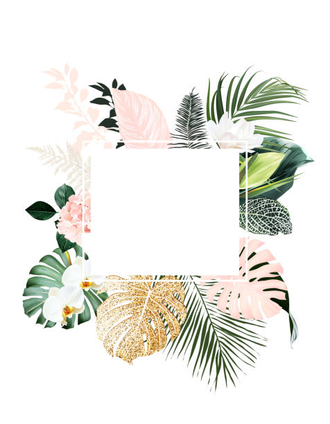 ilustraciones, imágenes clip art, dibujos animados e iconos de stock de marco pastel tropical elegante dispuesto a partir de hojas de palma exóticas y secas - hawaiian orchid