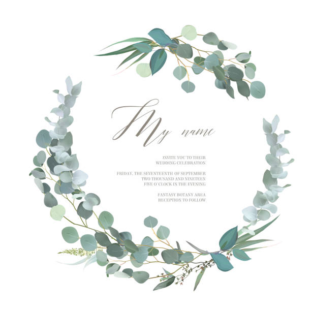 Greenery selection vector design round invitation frame. Rustic wedding greenery Greenery selection vector design round invitation frame. Rustic wedding greenery. Mint, blue, green tones. Watercolor save the date card. Summer rustic style. All elements are isolated and editable eucalyptus tree stock illustrations