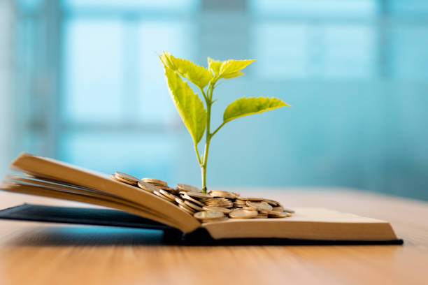 Young plant growing out of book with coins. Knowledge concept
