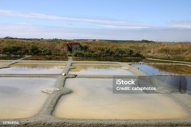 Salines Mokradła - zdjęcia stockowe i więcej obrazów Bez ludzi - Bez ludzi, Biologia - Nauka, Bretania