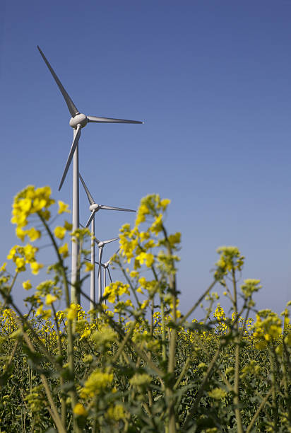 istock Wind Turbines in field 137858899