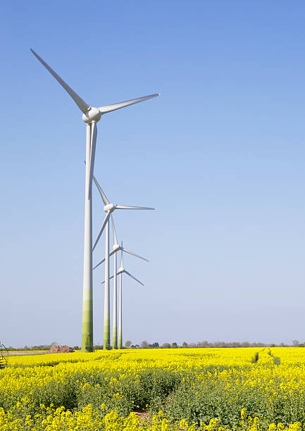 istock Wind Turbines In Lincolnshire 137858912