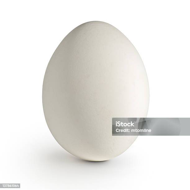 White Egg Stock Photo - Download Image Now - Animal Egg, Egg - Food, Human Egg