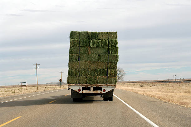 istock Truck with heavy load 137863956