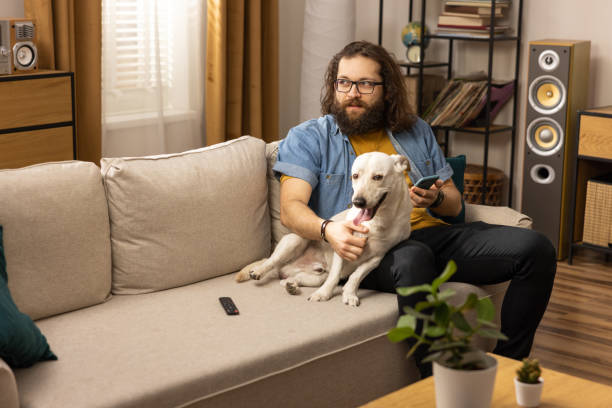 istock A middle-aged man is wondering what to write back to a message he received. A boy in a blue shirt spends his free time with his dog at home 1378672076