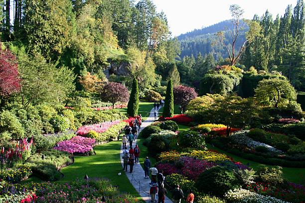 jardins de butchart - buchart gardens photos et images de collection