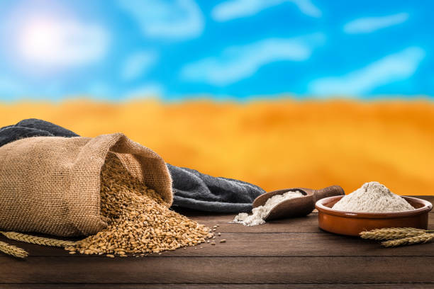 Front view of a sack of wheat laying down on a wooden table beside a bowl and a serving scoop fool of flour. Behind the table is a defocused wheat field and a sunny blue sky.