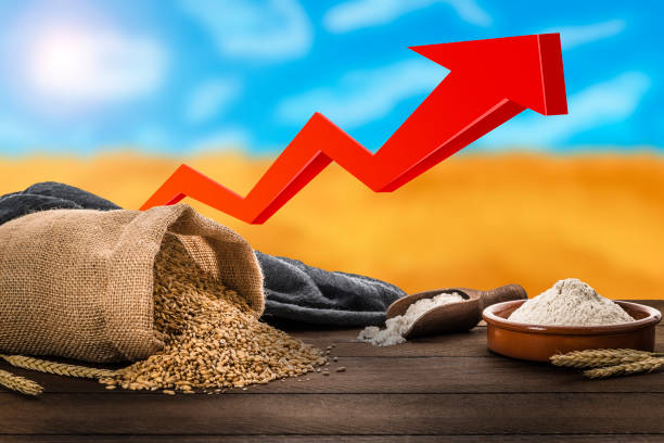 Increase in the price of wheat Front view of a sack of wheat laying down on a wooden table beside a bowl and a serving scoop fool of flour. Behind the table is a defocused wheat field and a moving up red arrow. This image represents the increase in the price of wheat caused by the conflict between Ukraine and Rusia. 2022 russian invasion of ukraine stock pictures, royalty-free photos & images