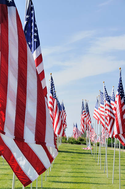 istock American Flags on Memorial Day  at a Cemetery 137871019