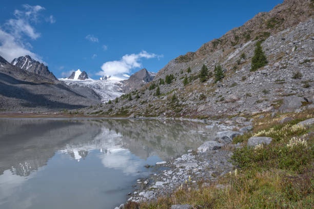 istock glacier mountains lake flowers reflection summer 1378723879