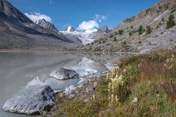 istock glacier mountains lake flowers reflection summer 1378723890