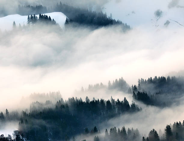 istock nature in detail 137874623