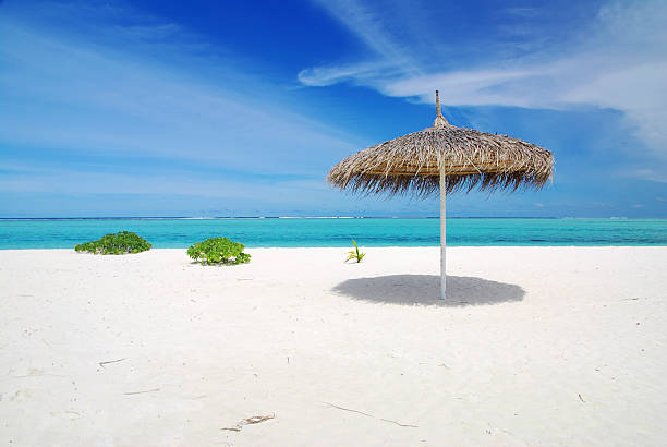 istock Relax in the Maldives 137876364