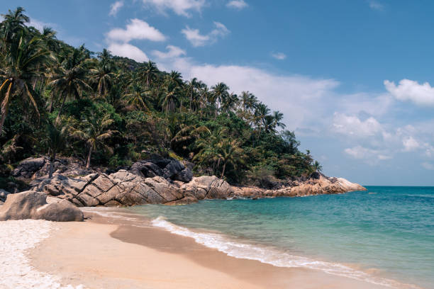 istock Beautiful wild sandy beach with palm trees and clear turquoise water 1378776423
