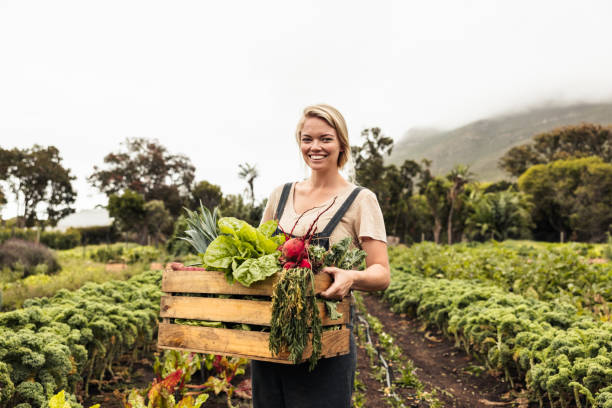 istock Smiling female farmer holding a box with fresh produce 1378776445