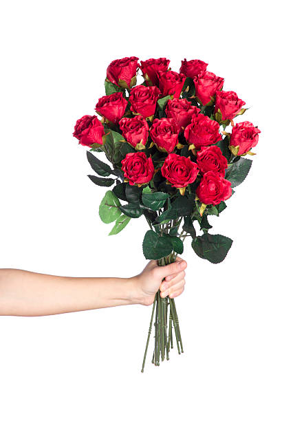 Hand holding bouquet of red roses stock photo