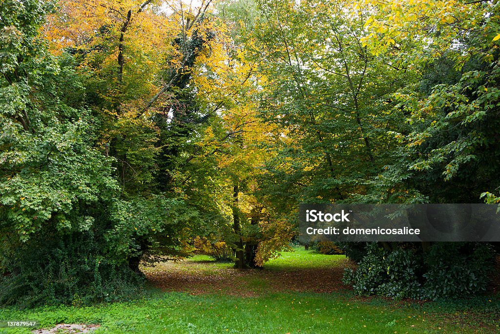 Paisagem rural de Veneto, Itália - Royalty-free Ajardinado Foto de stock