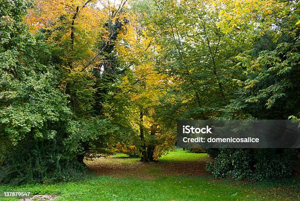 Paisagem Rural De Veneto Itália - Fotografias de stock e mais imagens de Ajardinado - Ajardinado, Ao Ar Livre, Arbusto