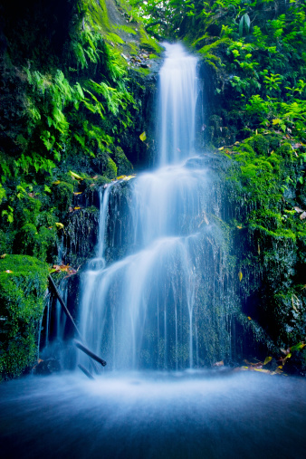 Tropical Lush Waterfall in Hawaii