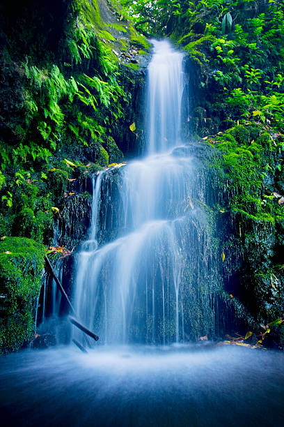 Beautiful Lush Waterfall stock photo