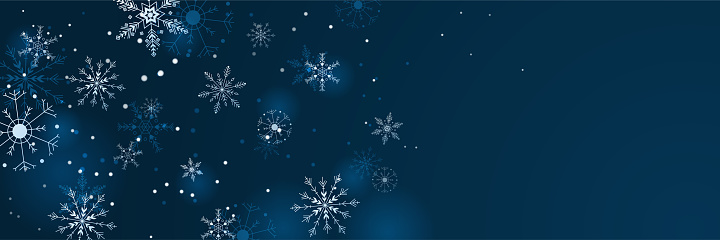 Winter Dark Blue Snowflake design template banner