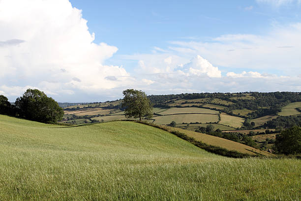 Rural scene stock photo