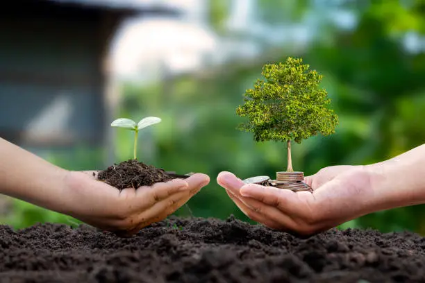 Photo of Farmer's hand holding a sapling and a businessman's hand holding a tree growing on a pile of money.