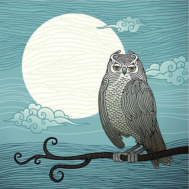 ilustrações, clipart, desenhos animados e ícones de coruja e lua cheia - northern hawk owl