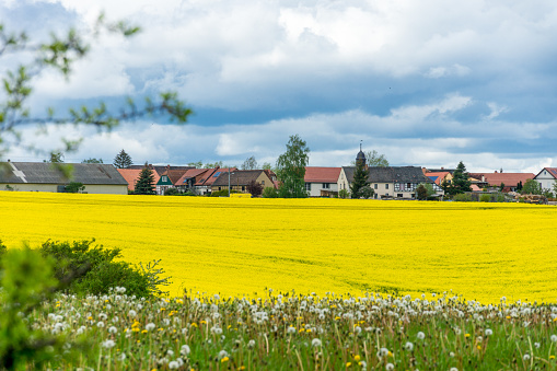 Yellow rape fields with village and meadows in Germany