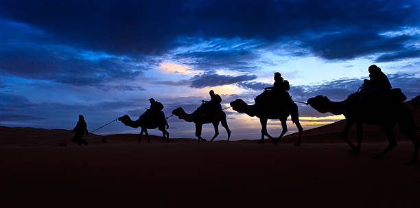 istock Camel train silhouetted against colorful sky crossing the Sahara Desert 137885586