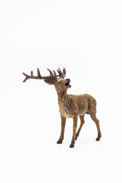 istock Toy animal figure deer on white. 1378886464