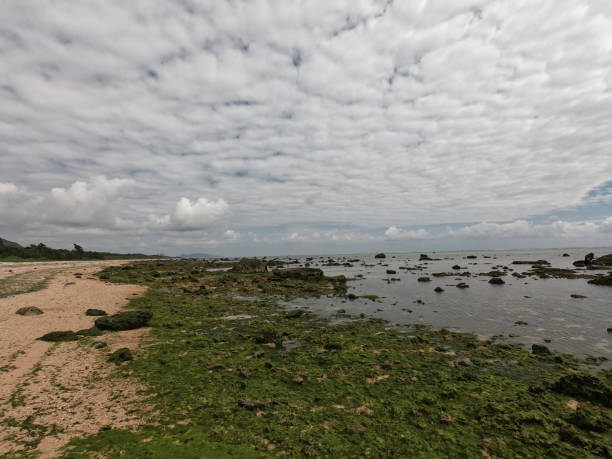 istock The view of beach in Ishigaki island 1378890761