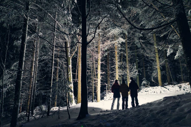 i tuoi bambini in piedi nella foresta invernale di notte - group of people teenager snow winter foto e immagini stock