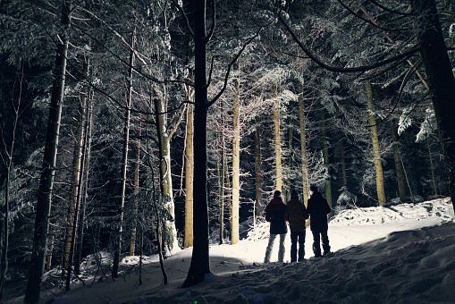 Children standing in winter forest at night. They are carrying flashlights and looking at the beautiful trees.\nCold winter night.\nShot with Canon R5.