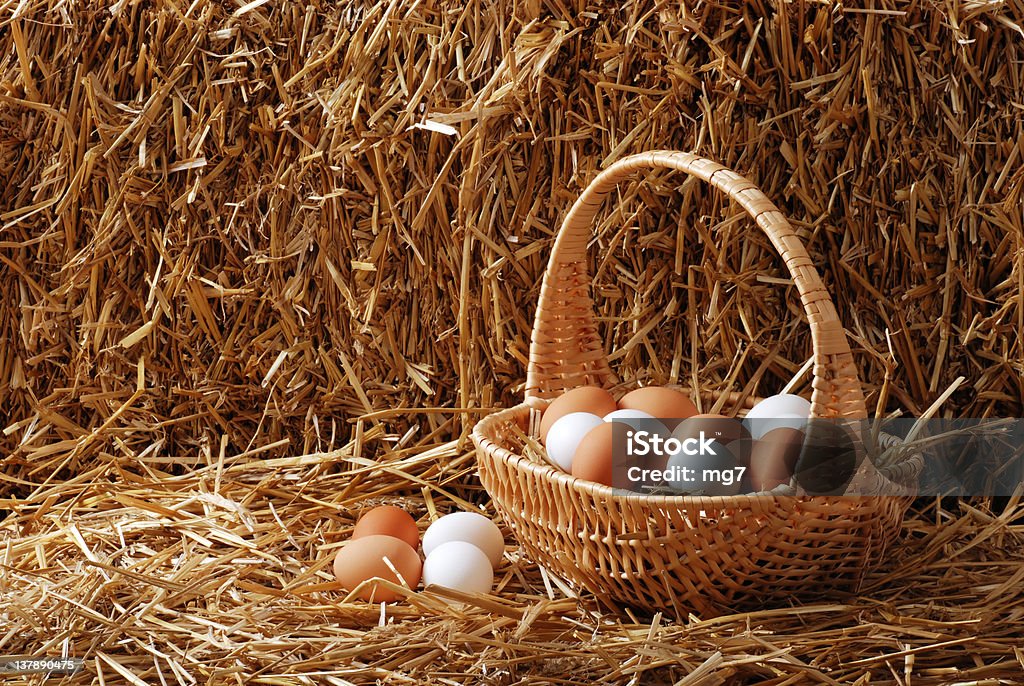 Marrón y blanco en una cesta de pascua - Foto de stock de Gallinero libre de derechos
