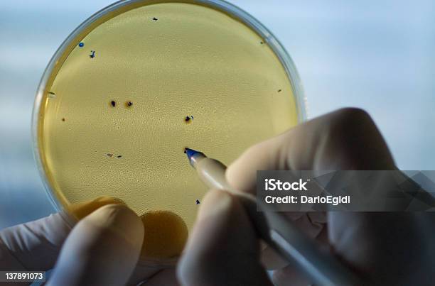 Laboratorio Di Chimica - Fotografie stock e altre immagini di Analizzare - Analizzare, Batterio, Chimica