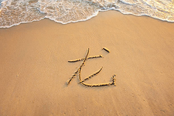 istock chinese writing mean dragon on tropical beach sand 137891197