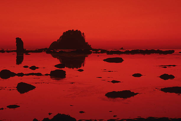 Pacific Ocean Sunset and Rock Formations Sunsets over the Pacific Ocean can be colorful and spectacular. The rocky sea stacks make an interesting frame for the setting sun. This picture was taken at Cape Alava in Olympic National Park, Washington State, USA. jeff goulden olympic national park stock pictures, royalty-free photos & images