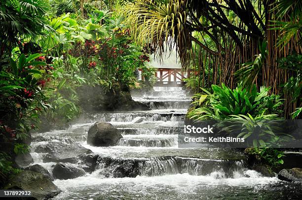 Rzeka Las Deszczowy - zdjęcia stockowe i więcej obrazów Kostaryka - Kostaryka, Las deszczowy, Wodospad