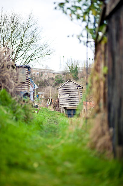 Allotment in Winter stock photo