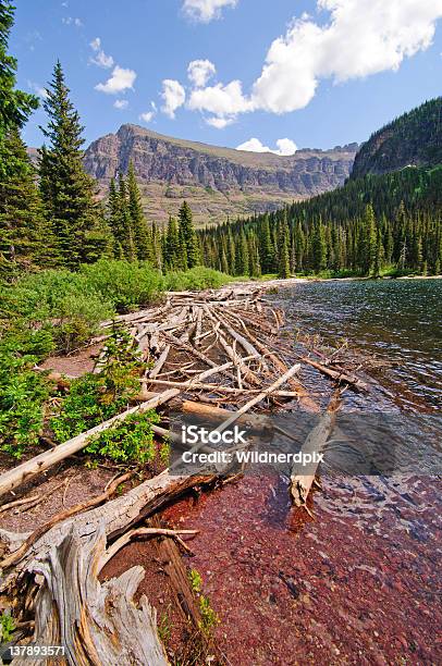 Foto de Deadwood Em Um Lago Alpino e mais fotos de stock de Beleza natural - Natureza - Beleza natural - Natureza, Cena de tranquilidade, Cordilheira