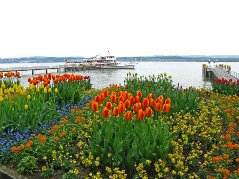 Flowerbed at Lake Constance