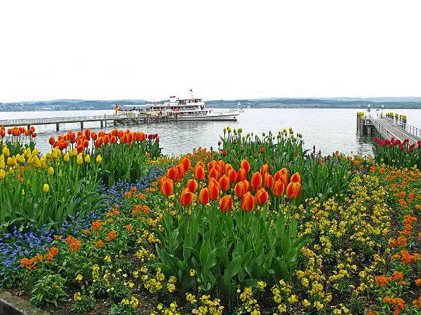 Flowerbed at Lake Constance - Boat dock at Lake Constance near the island of Mainau