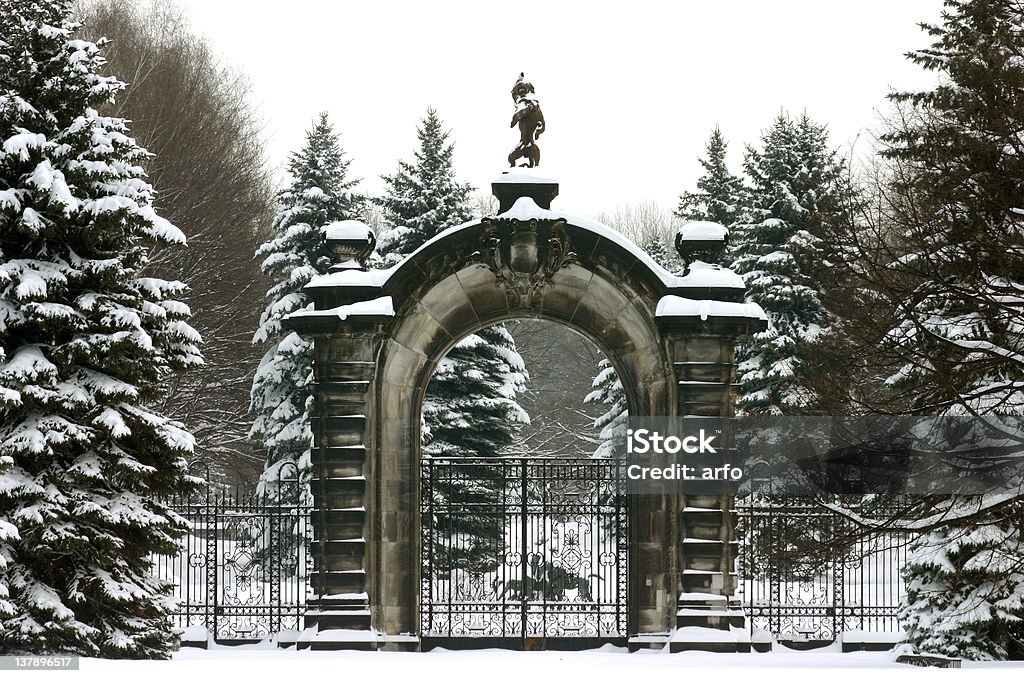O antigo portão - Foto de stock de Ajardinado royalty-free