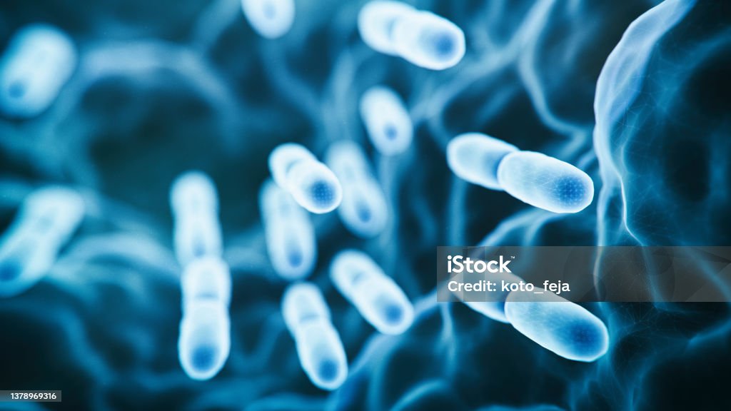 Abs Lactobacillus Bulgaricus Bacteria Abstract Lactobacillus Bulgaricus Bacteria - 3d rendered microbiology image. Medical research, health-care concept. SEM (TEM)scanning view Bacterium Stock Photo