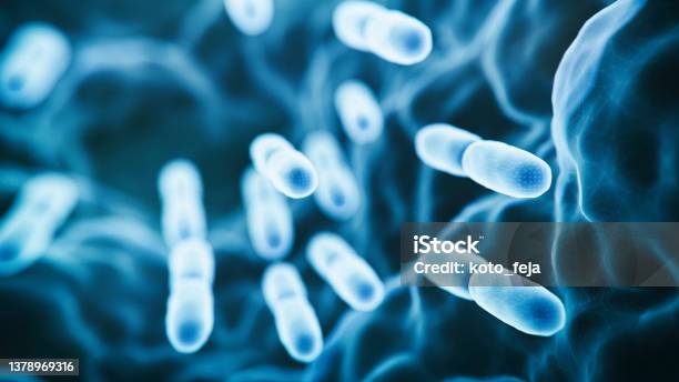 Abs Lactobacillus Bulgaricus Bacteria Stock Photo - Download Image Now - Bacterium, Microbiome, Intestine