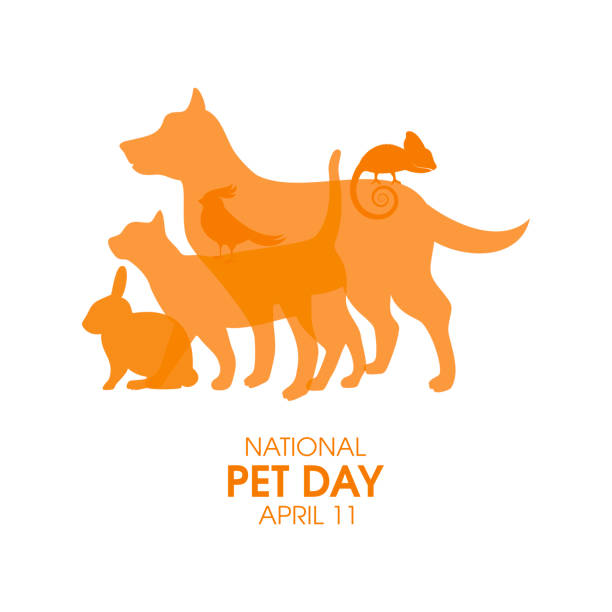 national pet day vektor - nature dog alertness animal stock-grafiken, -clipart, -cartoons und -symbole