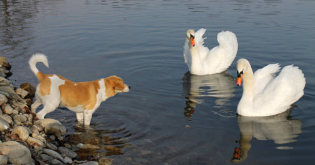 Meeting new friends!