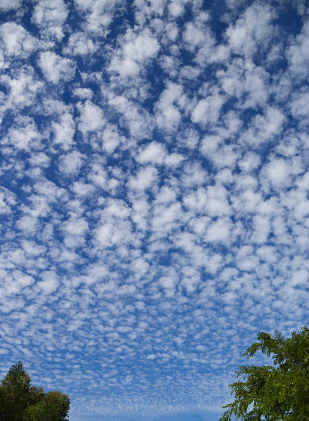 Huge sky with puffy clouds. Huge sky with puffy clouds. See also: Cirrocumulus stock pictures, royalty-free photos & images